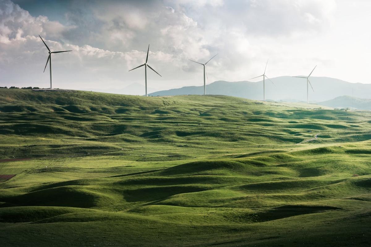 The Pros and Cons of Wind Energy  A Comprehensive Guide