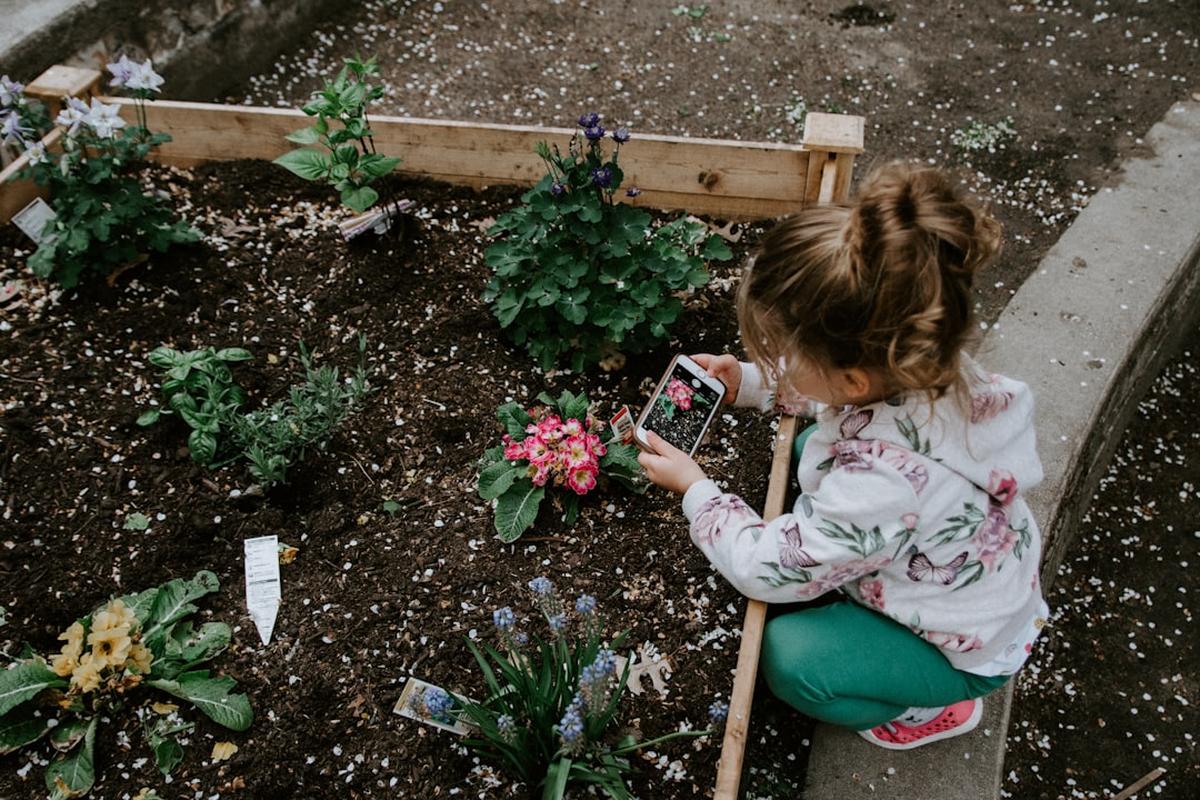 The Ultimate Guide to Permaculture Farming  Sustainable Practices for a Greener Future