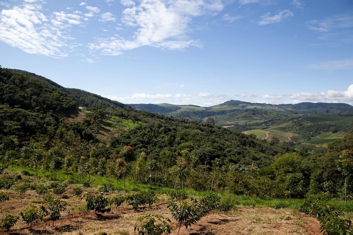 Unlocking the Potential  Exploring the Benefits of Agroforestry for Sustainable Agriculture