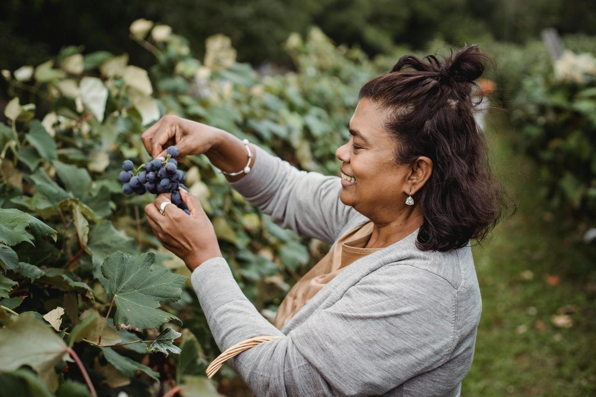 Innovative Examples of Sustainable Agriculture Practices for a Greener Future